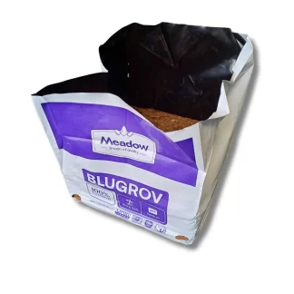 Blueberry Grow Bag