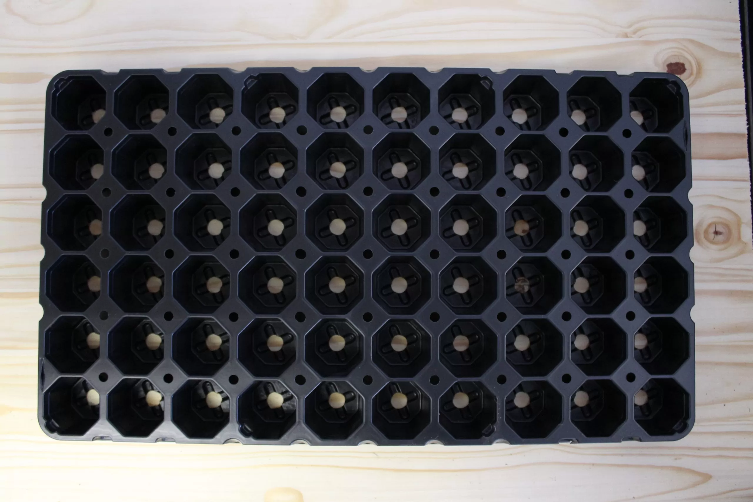 Jiffy Tray (60 or 126 Cavities)
