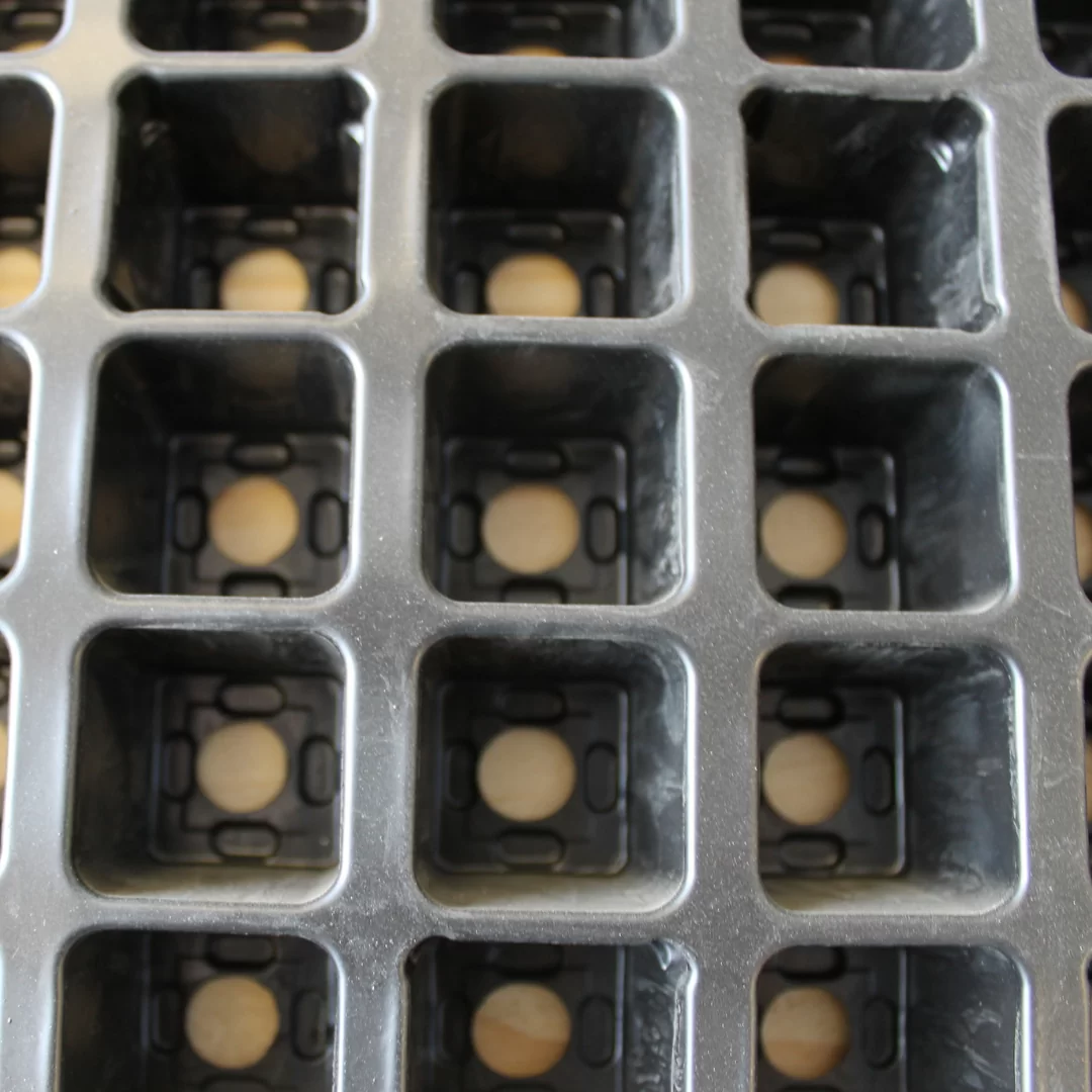 Jiffy Tray (60 or 126 Cavities) - Image 2