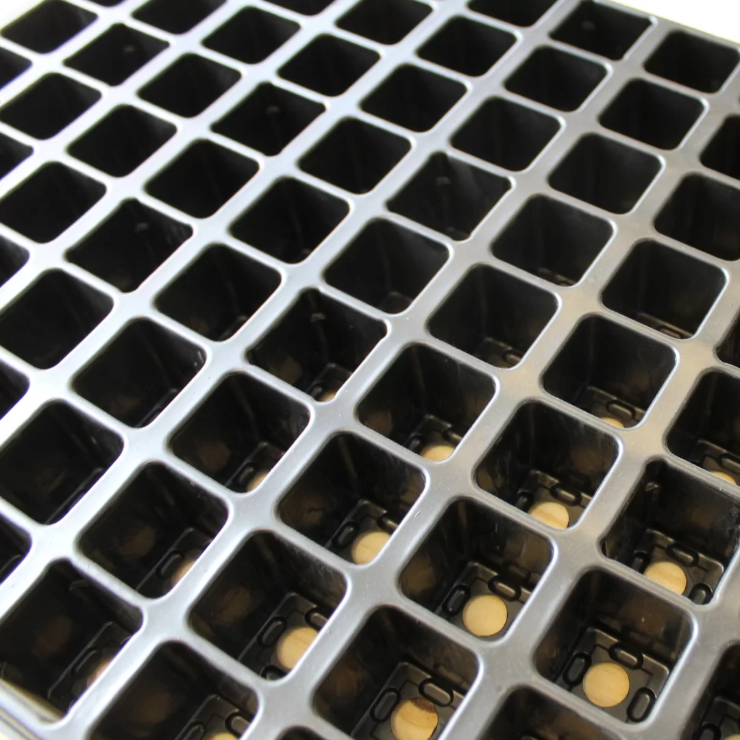Jiffy Tray (60 or 126 Cavities) - Image 3